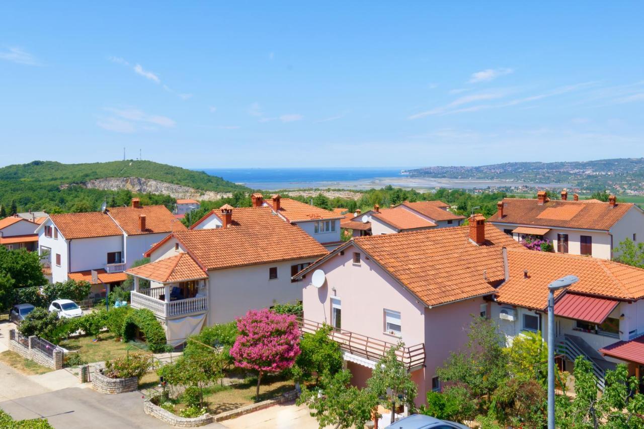 Plovanija Apartments Belvedere By Rent Istria מראה חיצוני תמונה